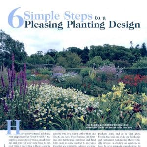 6 Simple Steps to a Pleasing Planting Design