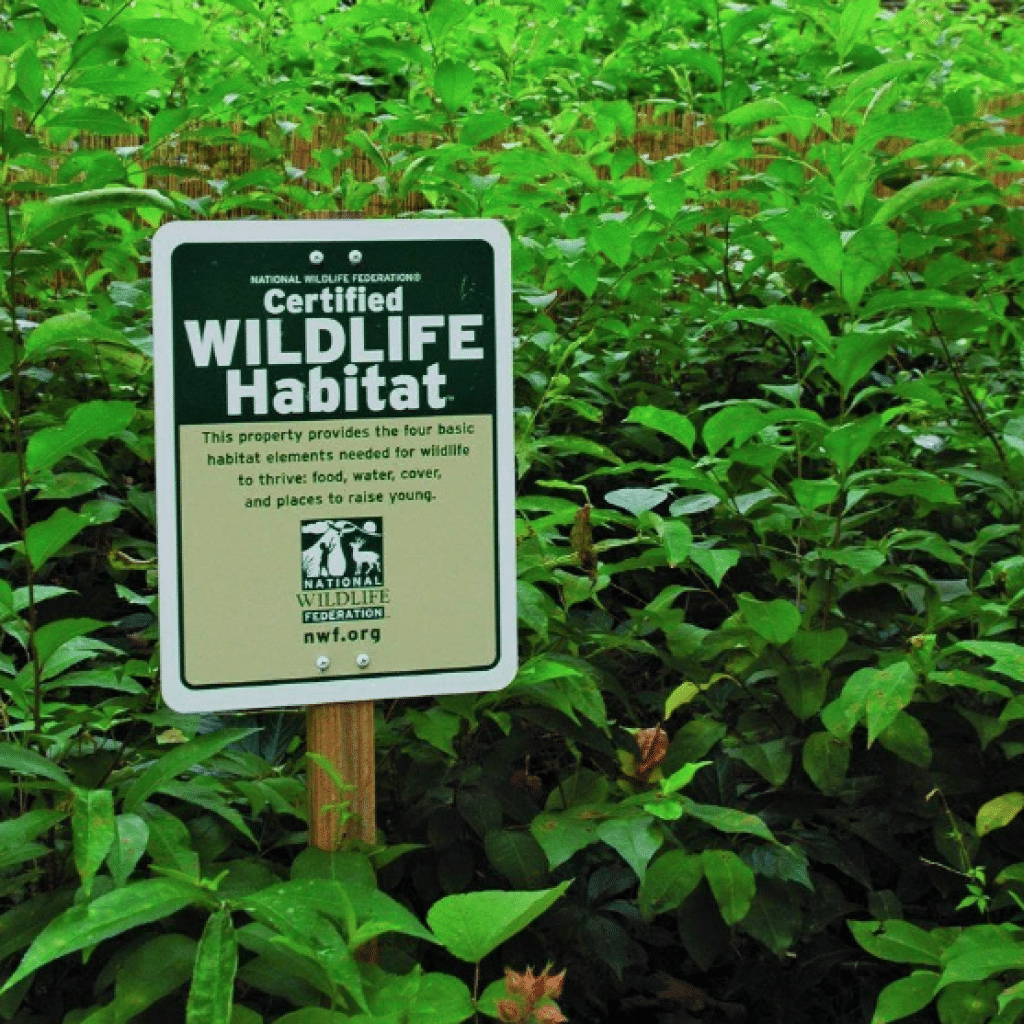 certified wildlife habitat in knoxville, tn