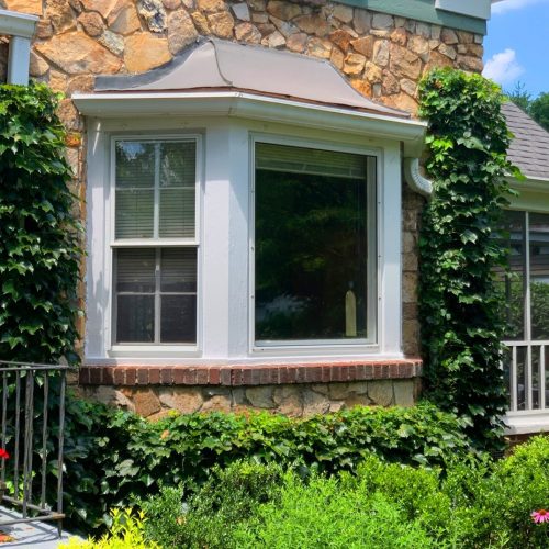 Our Boston Ivy hides an ugly downspout and frames the bay window.