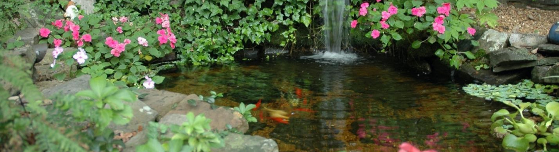 The Best Types of Water Features for the Average Homeowner