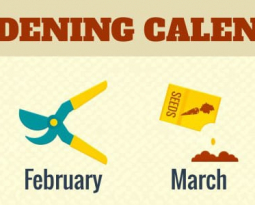 THE GARDEN CALENDAR